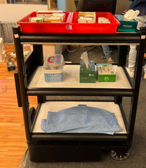Robotic Cart