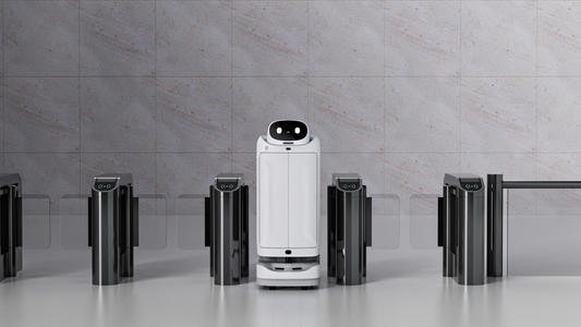 How Delivery Robots Can Help Theme Parks and Large Entertainment Venues