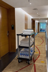 Robotic Cart